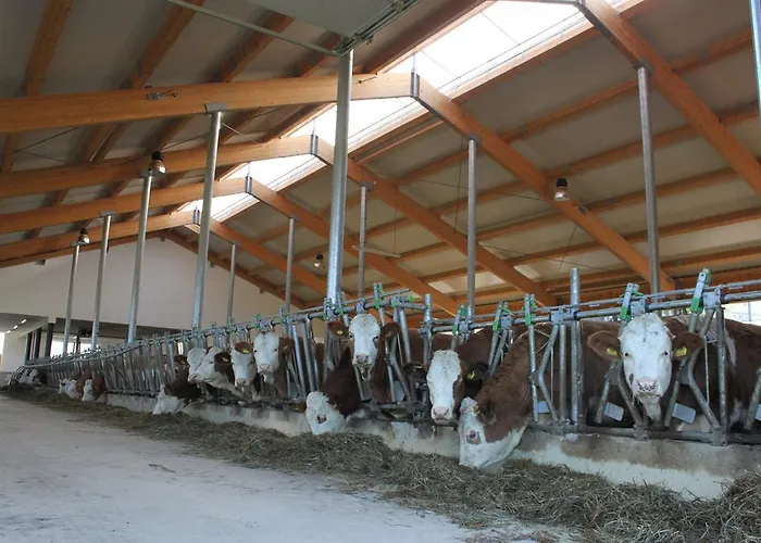 Ganhör- Fam. Kaar * Wintersdorf