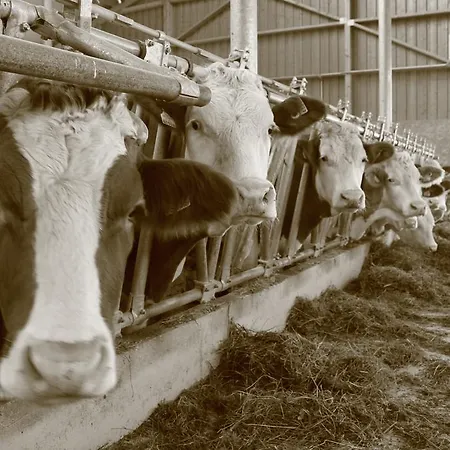 Lägenhet Ganhör- Fam. Kaar