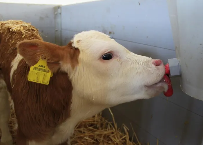 Apartament Ganhoer- Fam. Kaar Wintersdorf