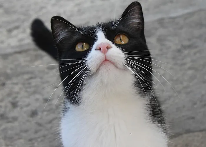 Ganhoer- Fam. Kaar *